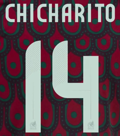 Copa America 2024 Official Nameset ( Name and Number Set)