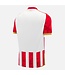 Macron Macron Red Star Belgrade 2024 - 25 Authentic Home Jersey - Red/White/Gold