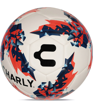 Charly Charly Reptar Training Soccer Ball - White/Multi