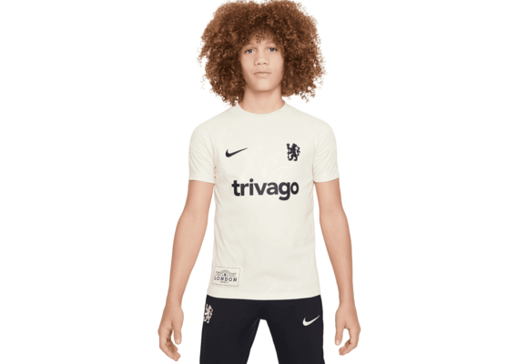 Nike Youth Chelsea 2024- 25 Academy Pro PreMatch Jersey - Sail/Blue