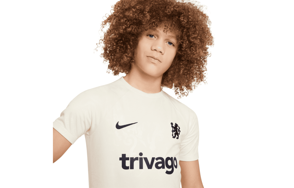 Nike Youth Chelsea 2024- 25 Academy Pro PreMatch Jersey - Sail/Blue