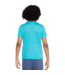 Nike Nike Youth Club America 2023- 24 Academy Pro PreMatch Jersey - Dusty Cactus/Lemon Chiffon