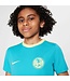Nike Nike Youth Club America 2023- 24 Academy Pro PreMatch Jersey - Dusty Cactus/Lemon Chiffon
