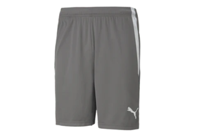 Puma Youth Team Liga 25 Soccer Shorts