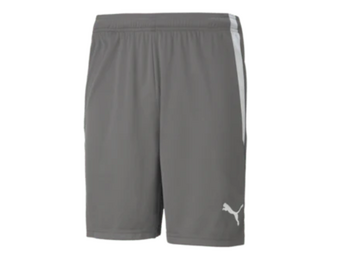 Puma  Youth Team Liga 25 Soccer Shorts