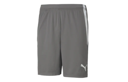 Puma  Youth Team Liga 25 Soccer Shorts