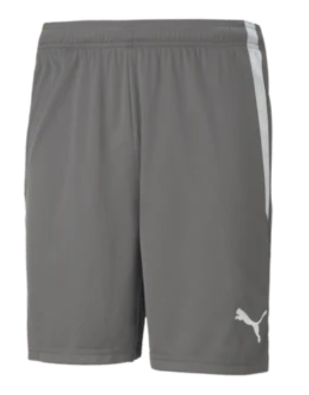 Puma  Youth Team Liga 25 Soccer Shorts