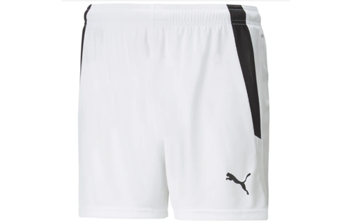 Puma  Youth Team Liga 25 Soccer Shorts