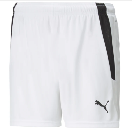 Puma  Youth Team Liga 25 Soccer Shorts