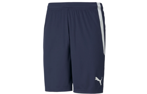 Puma  Youth Team Liga 25 Soccer Shorts