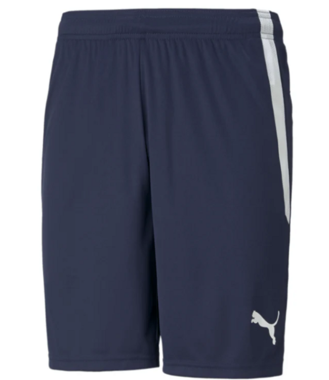 Puma Puma  Youth Team Liga 25 Soccer Shorts