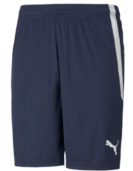 Puma  Youth Team Liga 25 Soccer Shorts