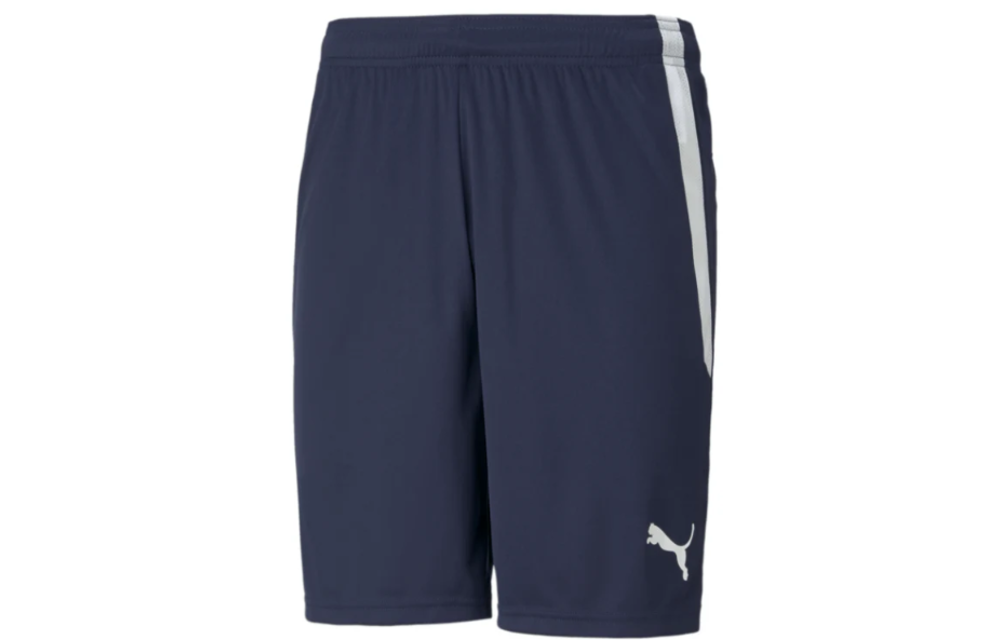 Puma Youth Team Liga 25 Soccer Shorts