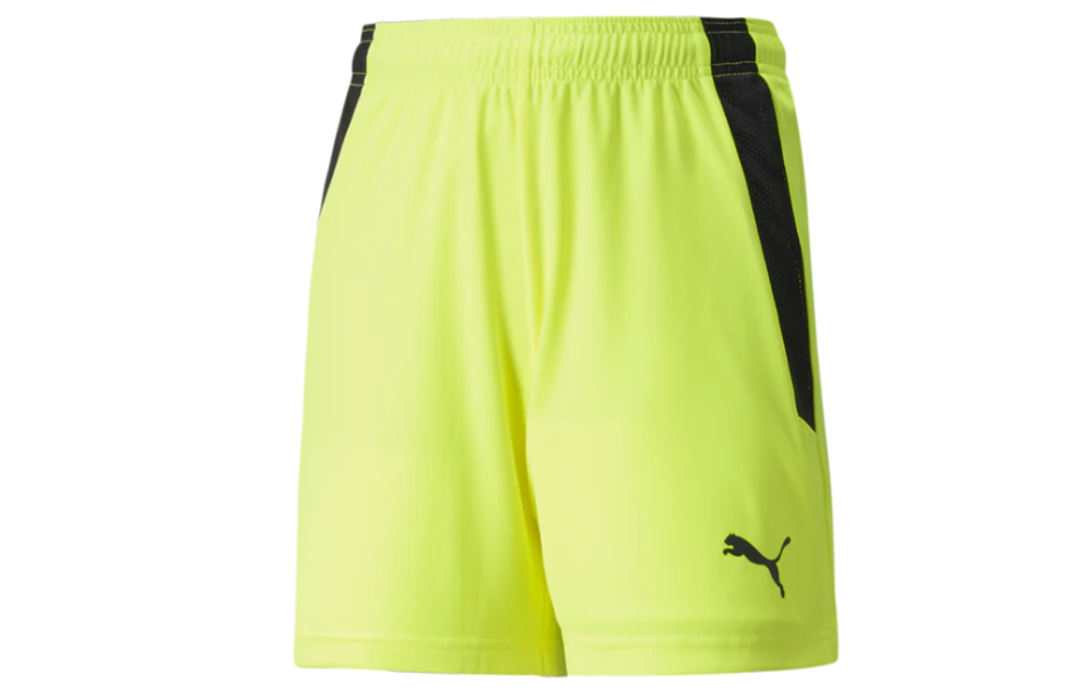 Puma Youth Team Liga 25 Soccer Shorts