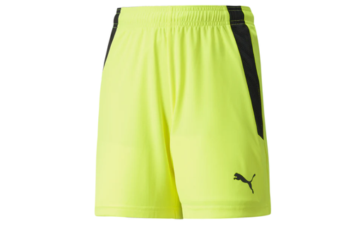 Puma  Youth Team Liga 25 Soccer Shorts