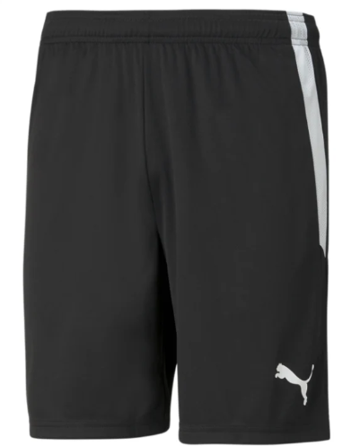Puma  Youth Team Liga 25 Soccer Shorts