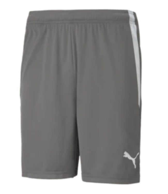 Puma Puma  Youth Team Liga 25 Soccer Shorts