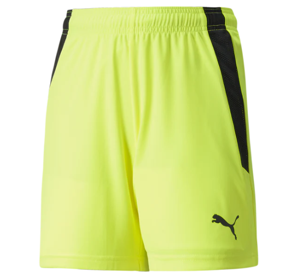 Puma  Youth Team Liga 25 Soccer Shorts