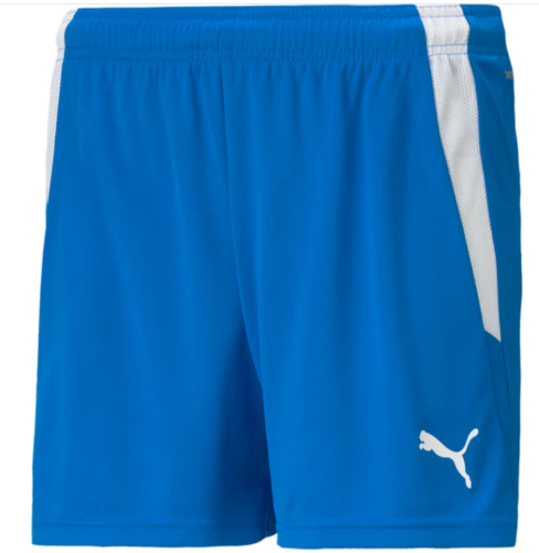 Puma  Youth Team Liga 25 Soccer Shorts