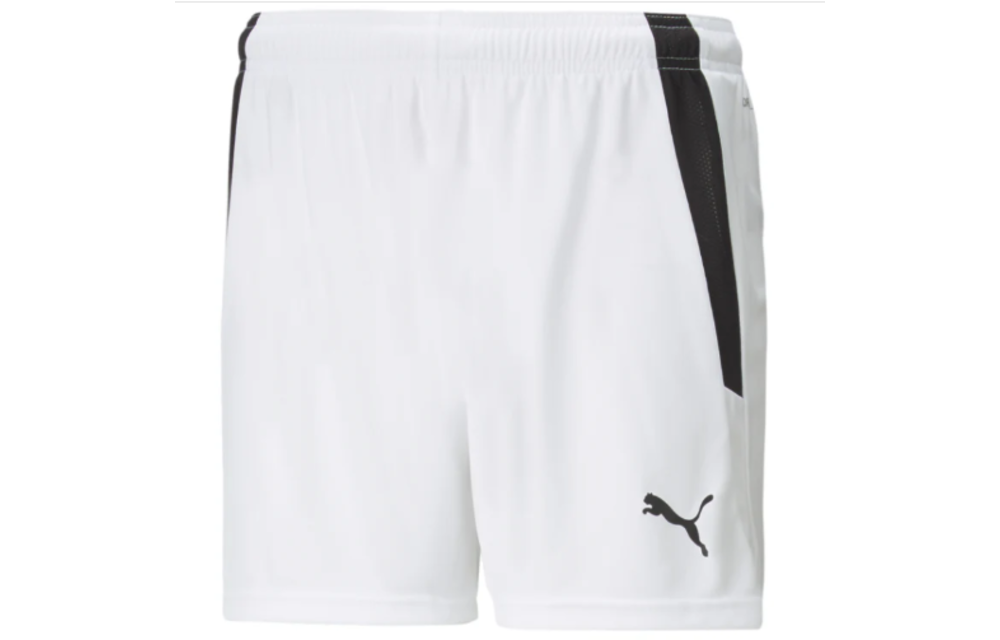 Puma Youth Team Liga 25 Soccer Shorts