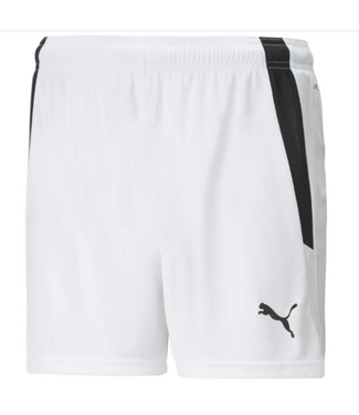 Puma Puma  Mens Team Liga 25 Soccer Shorts