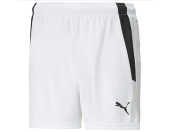 Puma  Mens Team Liga 25 Soccer Shorts