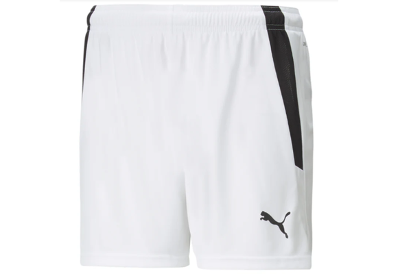 Puma  Mens Team Liga 25 Soccer Shorts