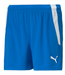 Puma Puma  Mens Team Liga 25 Soccer Shorts