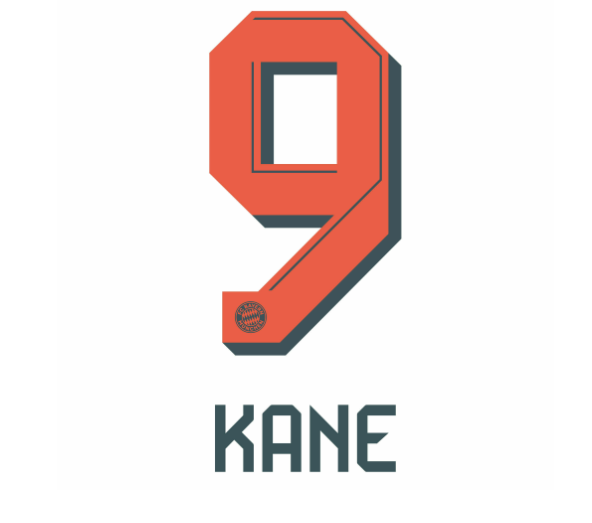 Bundesliga 2025 - 2026 Official Nameset (Name and Number Set)