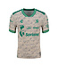 Charly Charly Santos Laguna 2025-26 Away Jersey - Smoke Grey/Green