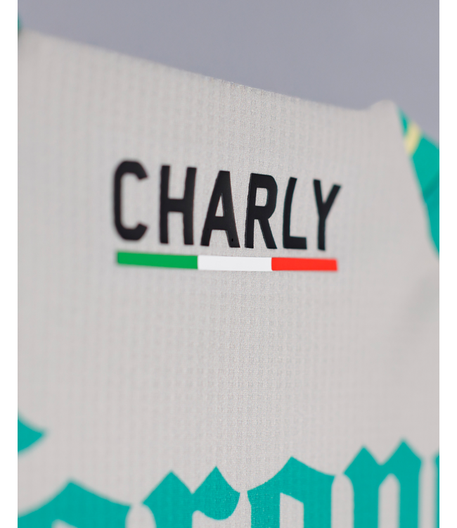 Charly Charly Santos Laguna 2025-26 Away Jersey - Smoke Grey/Green