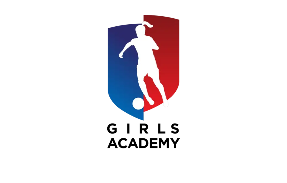 Local Clubs Official Authentic Crest / Sleeve Badges