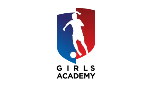 Local Clubs  Official Authentic Crest / Sleeve Badges