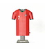 Alloy Portugal Collectors Mini Metal Home Jersey Locker Pack