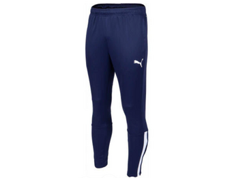 Puma Mens TeamLiga 25 Soccer Training Pants - Navy Blue / White