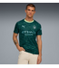 Puma Puma Manchester City 2025 -26 EA Sports Fourth Jersey - Green Terrain