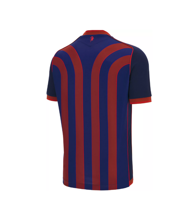Macron Macron FC Basel 2025- 26 Authentic Home Jersey - Red/Royal Blue/Gold