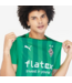 Puma Puma Borussia Mönchengladbach 2023-24 Away Soccer Jersey - Porcelain/Anise Flower