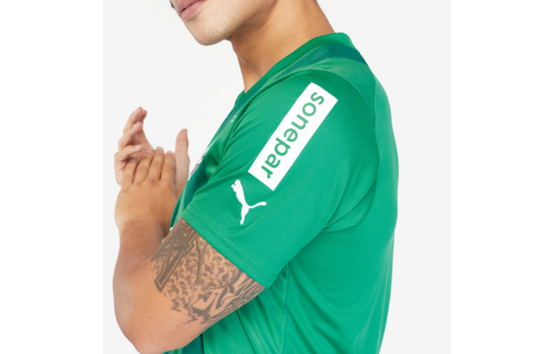 Puma Borussia Mönchengladbach 2023-24 Away Soccer Jersey - Porcelain/Anise Flower