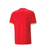 Puma Puma Ghana World Cup 2022 Away Jersey - Red/Dandelion