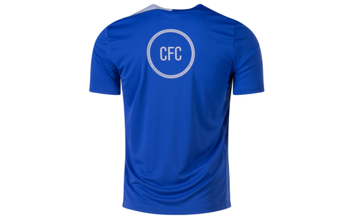 Nike Chelsea 2025 - 26 T90 DriFit Strike PreMatch Jersey - Game Royal/Field Silver