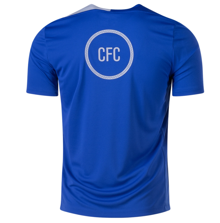 Nike Chelsea 2025 - 26 T90 DriFit Strike PreMatch Jersey - Game Royal/Field Silver