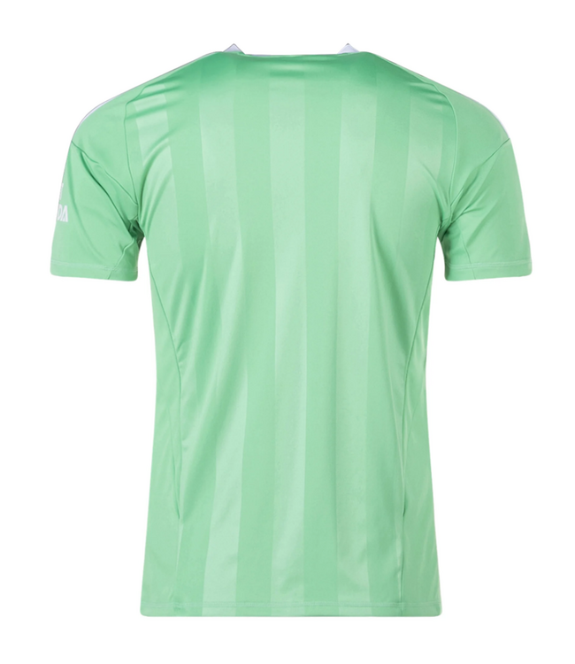 adidas adidas Arsenal 2025 - 26 Third Goalkeeper Jersey - Semi Screaming Green/White