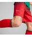 Puma Puma AC Milan x Off White 2025 Authentic Home Shorts - Red/Black/Green