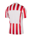 Nike Nike Atletico Madrid 2025 - 26 Home Jersey - Red/White