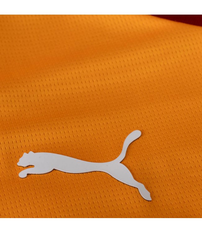 Puma Puma Galatasaray SK 2025 -26 Home Jersey - Red Rhythm/Intense Orange