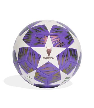 adidas adidas UCL Champions League Budapest Finale 2025 - 26 Training Ball - Pantone/White