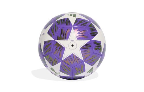 adidas UCL Champions League Budapest Finale 2025 - 26 Training Ball - Pantone/White