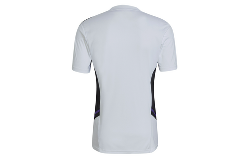 adidas Real Madrid 2025 - 26 Prematch Training Jersey- Light Grey/Black