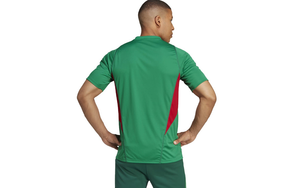 adidas Mexico 2025 Pre Match Training Jersey - Green